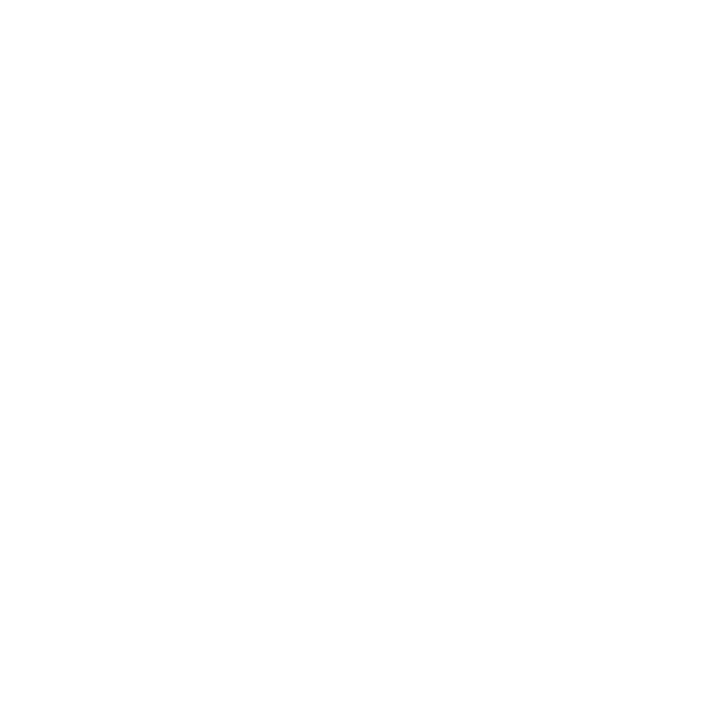 Logo Zech
