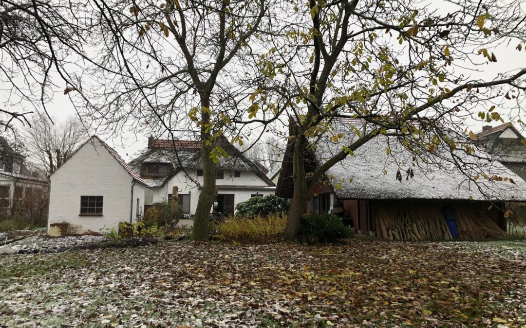 From the office to the barn: my very own journey to working from home